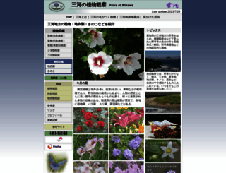 mikawanoyasou.org screenshot