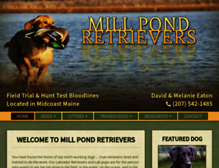 millpondretrievers.com screenshot