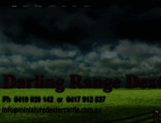 miniaturedextercattle.com.au screenshot