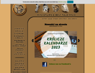 miniaturkabeztajemnic.com screenshot