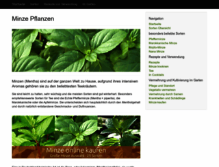 minze-pflanzen.de screenshot