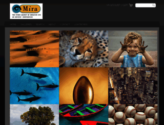 mira.com screenshot