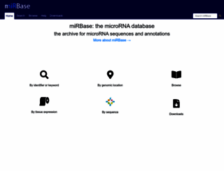 mirbase.org screenshot