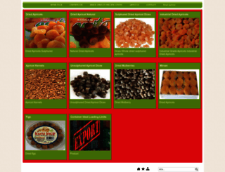 mirsangida.com screenshot
