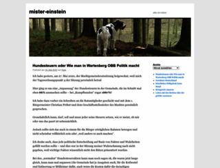 mister-einstein.com screenshot