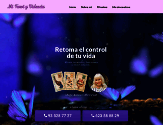 mitarotyvidencia.com screenshot