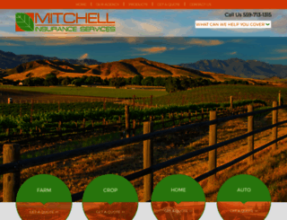 mitchellagins.com screenshot
