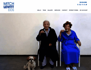mitchlevittdds.com screenshot