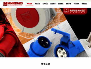 mnieknes.com.cn screenshot