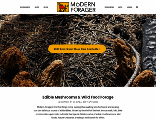 modern-forager.com screenshot