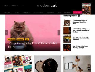 moderncat.com screenshot