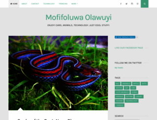 mofolawuyi.wordpress.com screenshot