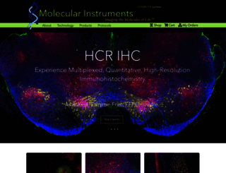 molecularinstruments.com screenshot