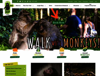 monkey-forest.com screenshot