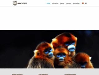 monkeyworlds.com screenshot