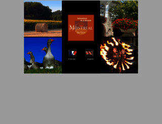 montrealdugersanimations.com screenshot