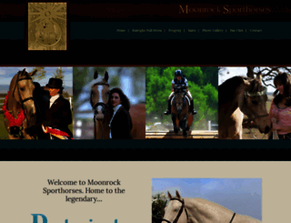 moonrocksporthorses.com screenshot