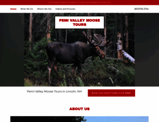 moosetoursnh.com screenshot