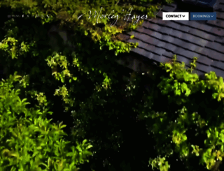morleyhayes.com screenshot