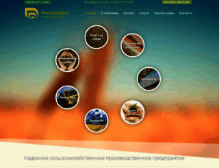 mosagrogroup.ru screenshot