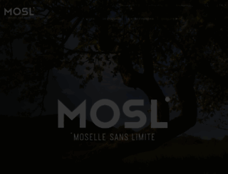 moselle-tourisme.com screenshot