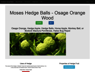 moseshedgeballs.com screenshot