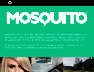 mosquitodigital.co.uk screenshot