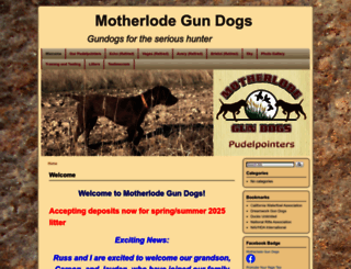 motherlodegundogs.com screenshot