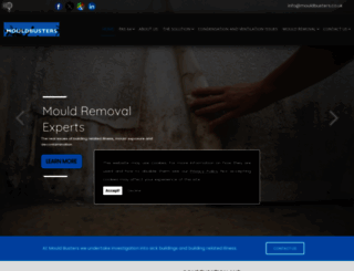mouldbusters.co.uk screenshot