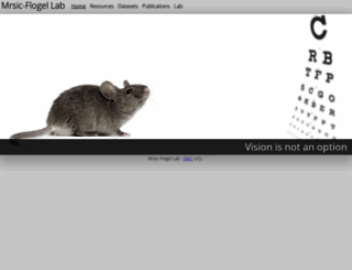 mouse.vision screenshot