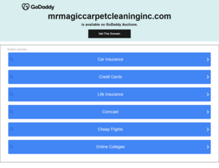 mrmagiccarpetcleaninginc.com screenshot