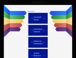 mrsergul.com screenshot