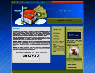 msbiznes.com screenshot