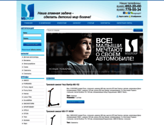 msgroup.ru screenshot