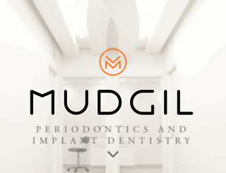 mudgilperio.com screenshot