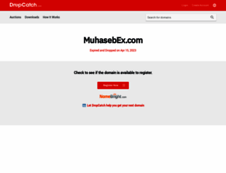 muhasebex.com screenshot