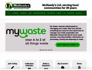 mulleadys.com screenshot
