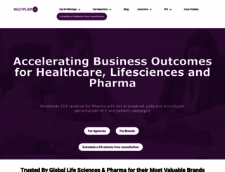 multipliersolutions.com screenshot