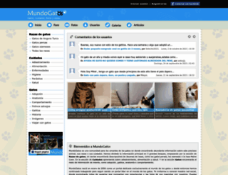 mundogatos.com screenshot