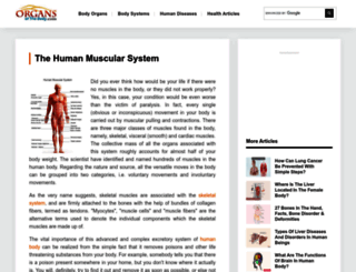 muscularsystem.organsofthebody.com screenshot