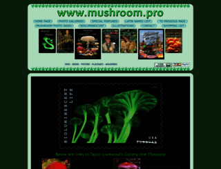mushroom.pro screenshot