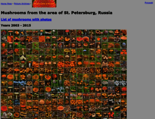 mushrooms.su screenshot