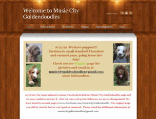 musiccitygoldendoodles.com screenshot
