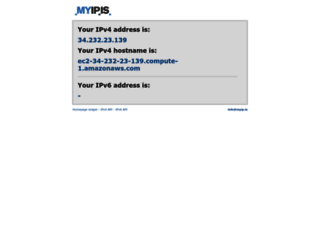 myip.is screenshot