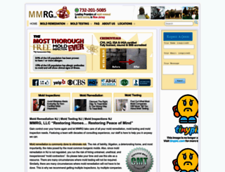 mymoldremediationguys.com screenshot