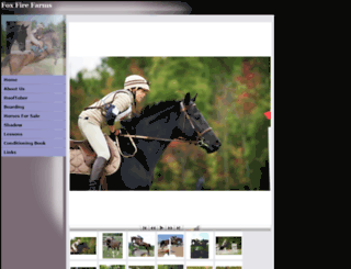 mysporthorse.com screenshot