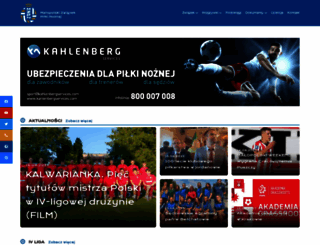 mzpnkrakow.pl screenshot