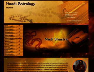 nadiastrologymumbai.com screenshot