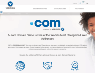 namehunt.com screenshot