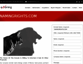 namingrights.com screenshot